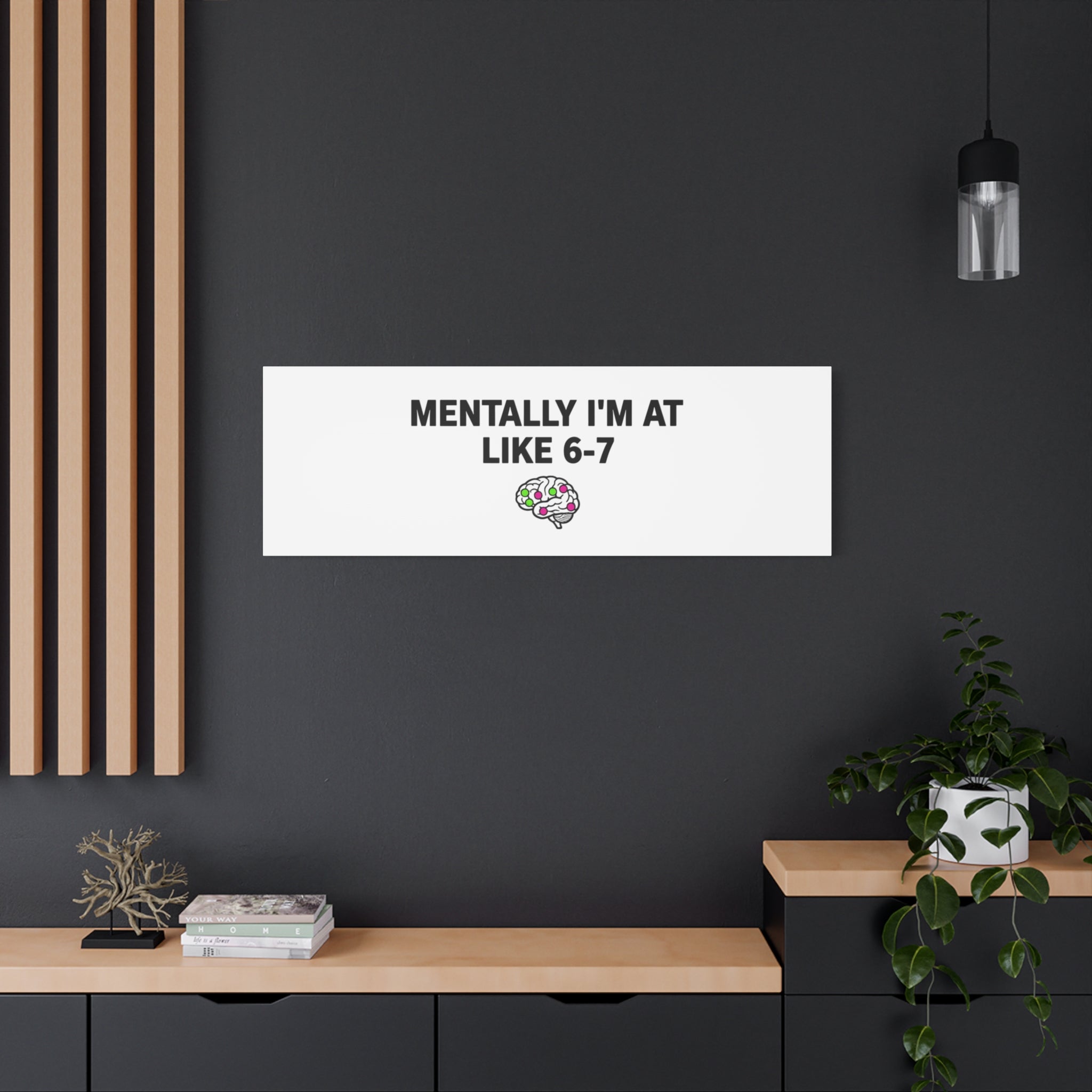 Mentally I'm At Like 6-7 Canvas | absurdist humor, 67 meme