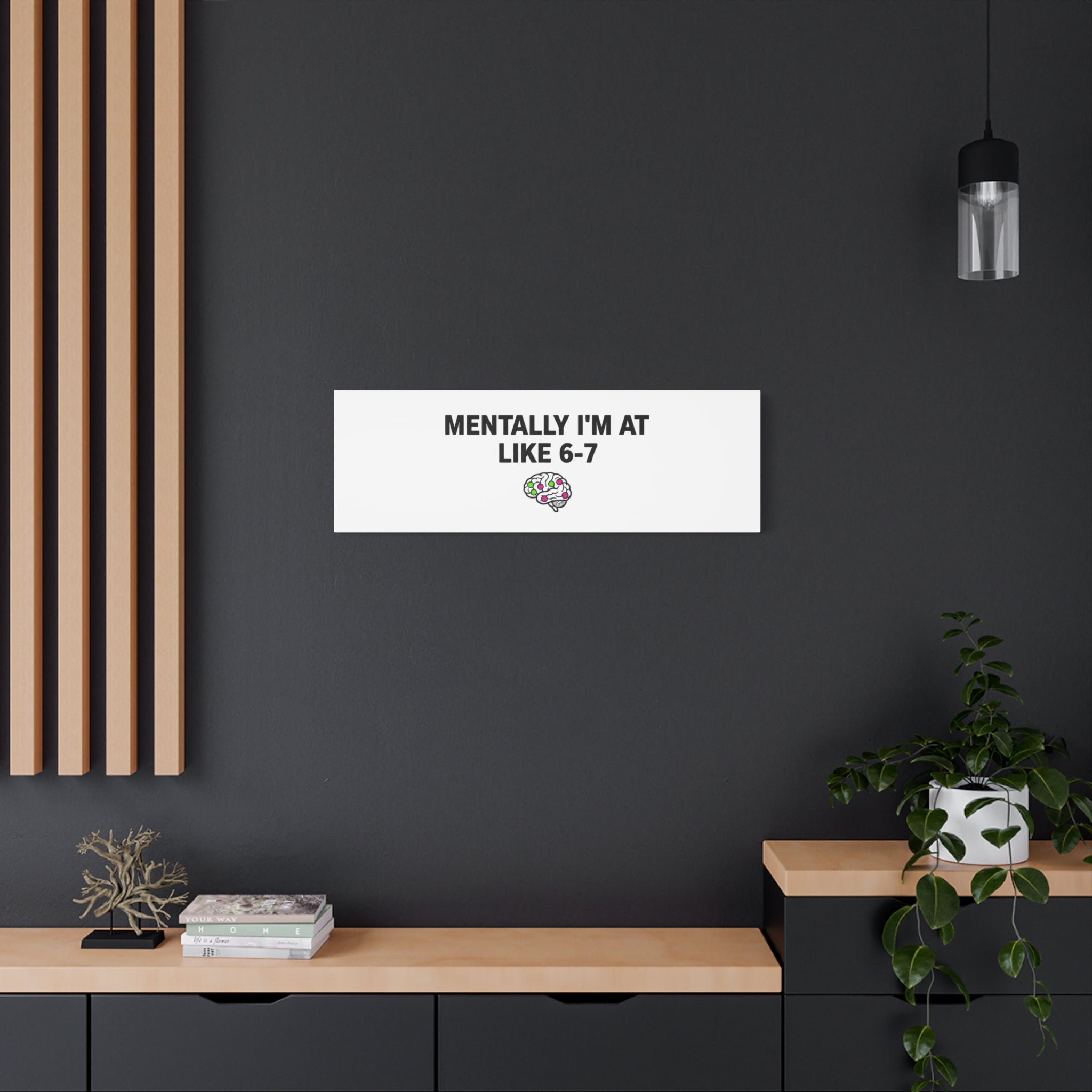Mentally I'm At Like 6-7 Canvas | absurdist humor, 67 meme