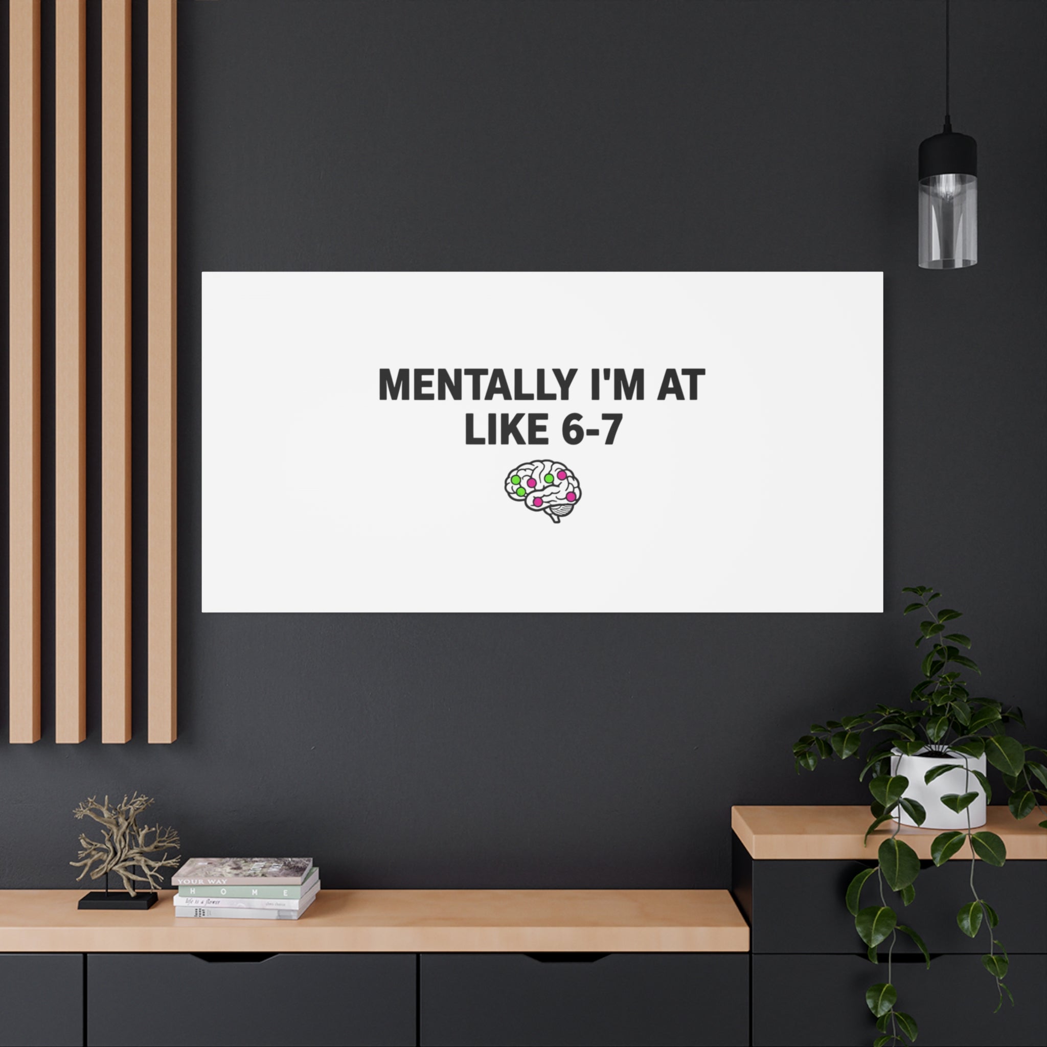 Mentally I'm At Like 6-7 Canvas | absurdist humor, 67 meme