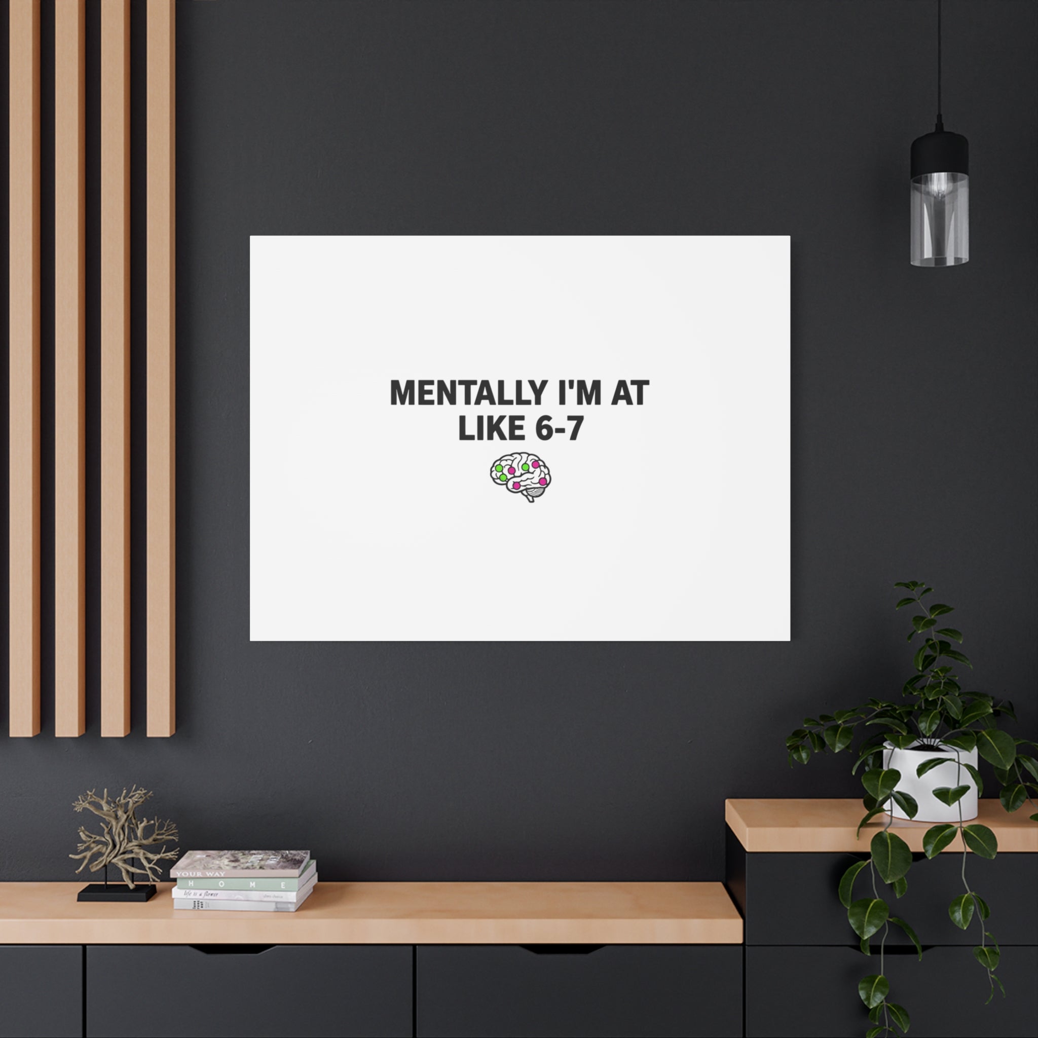 Mentally I'm At Like 6-7 Canvas | absurdist humor, 67 meme